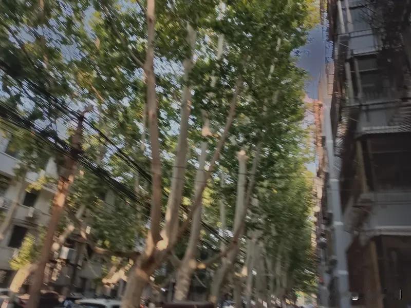 人过六十，需守十戒定律。戒色，与妻子以外的女性保持距离。戒赌，除娱乐性质的棋