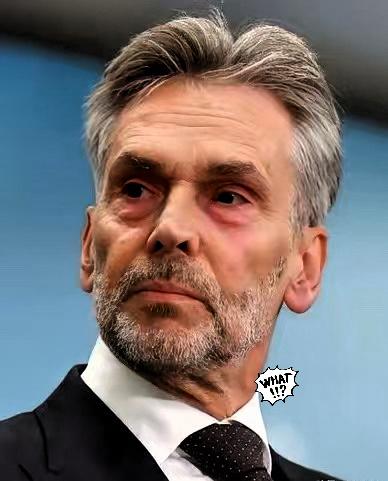 2025年11月23日，闻泰科技发布声明，敦促安世荷兰方面切实回应沟通，以解决控