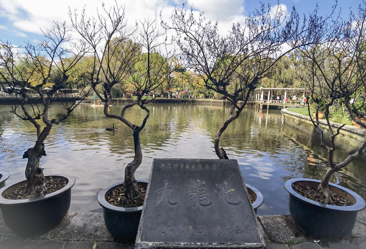昆明翠湖公园九龙池，是翠湖公园一个重要的地理地标，也是公园游玩必打卡的地方。