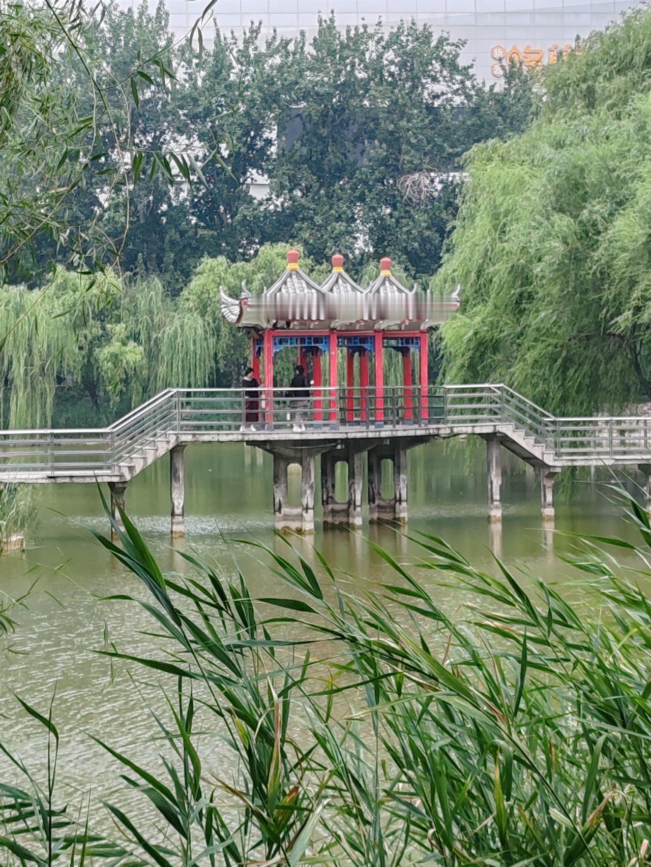 树有高矮，楼有高低。同样学习难免不齐。身为父母教育尽力，儿未屈才，就可欢娱。勿与