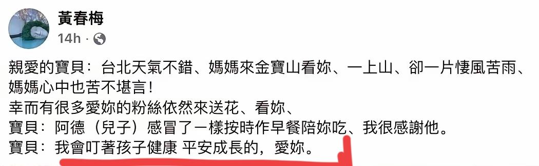 S妈提到大S的一双儿女让人很意外，她说会“盯着孩子健康平安成长”更令人意外！
