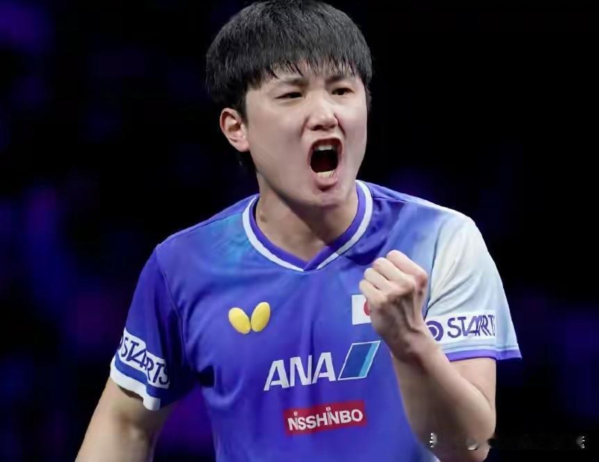 WTT新加坡大满贯/最新战报男单16强全部落位，国乒占4席[玫瑰]🇨🇳