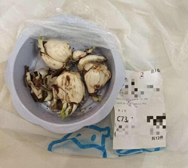 盒马误送水仙致祖孙中毒！七旬老人呕吐不止，家属索赔48万，网友炸锅了“妈，这