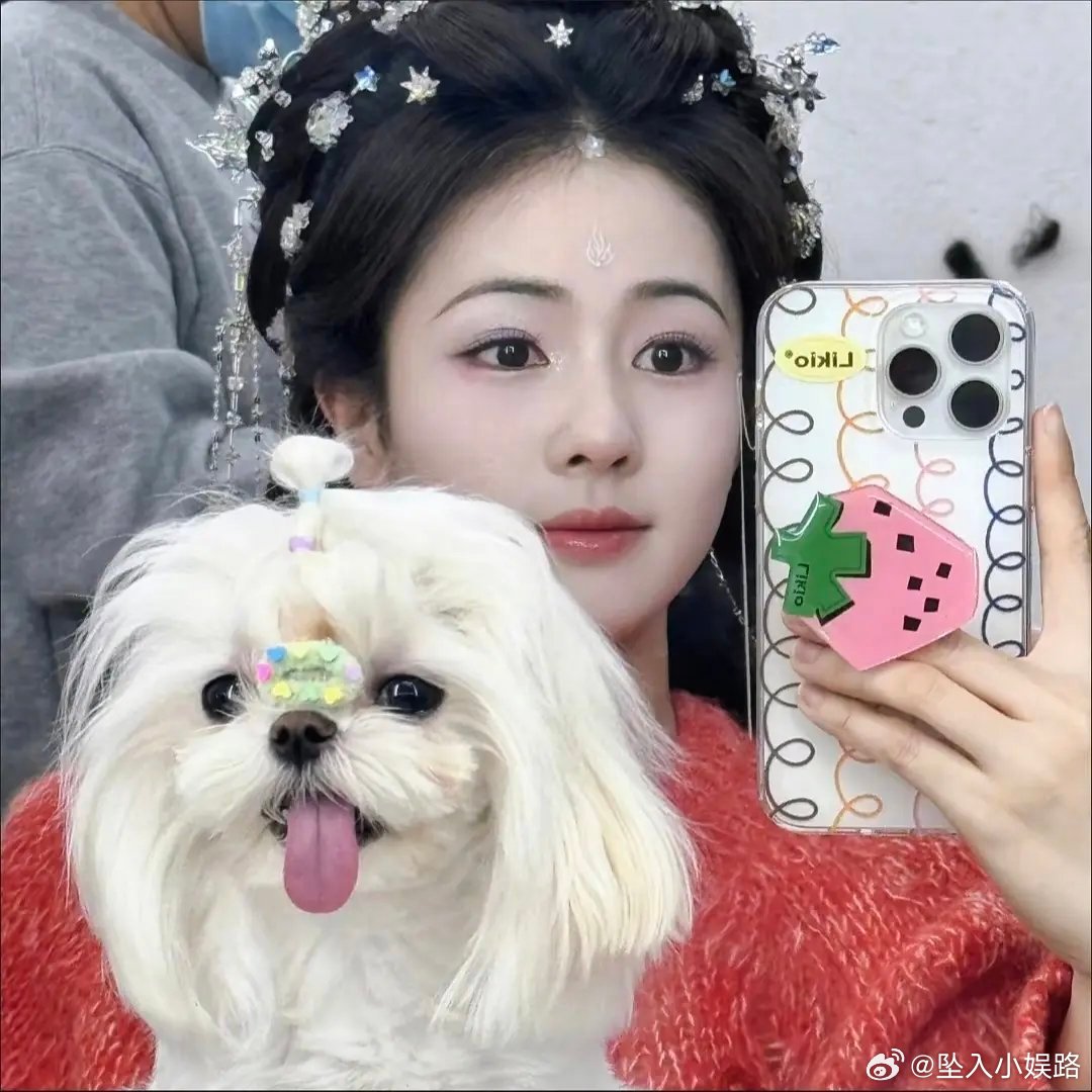 白鹿的狗品质为什么这么差呀