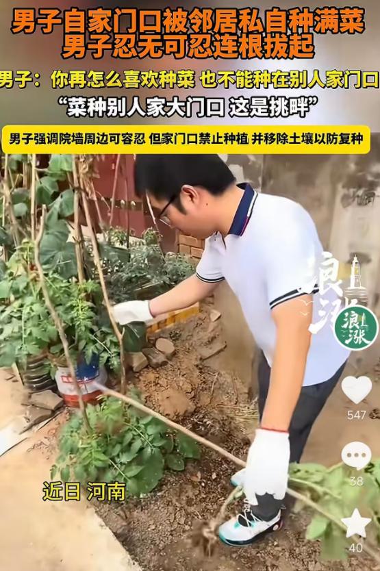 5月17日报道，河南一男子家门口空地被邻居私自种满蔬菜，多次沟通劝阻无效后，男子