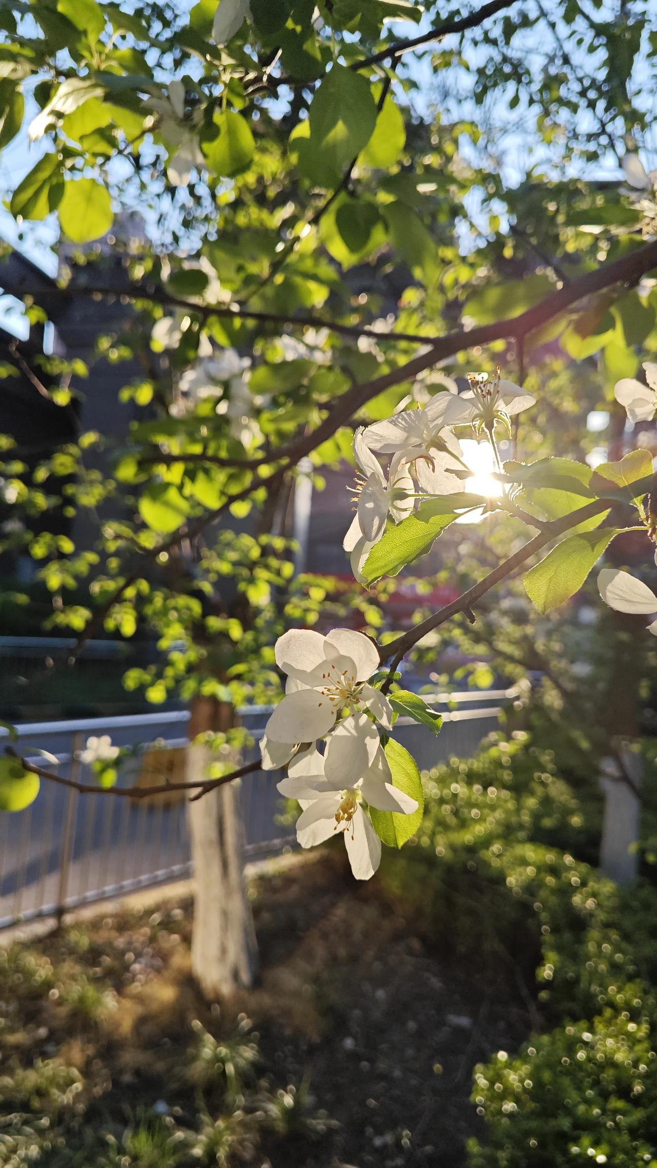 今天跟一个老中医聊天，他说：“你看那些真正长寿的老人，有几个是靠跑步活到九十岁