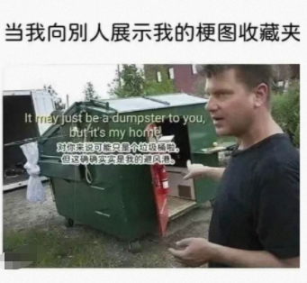 当我向别人展示我的梗图收藏夹