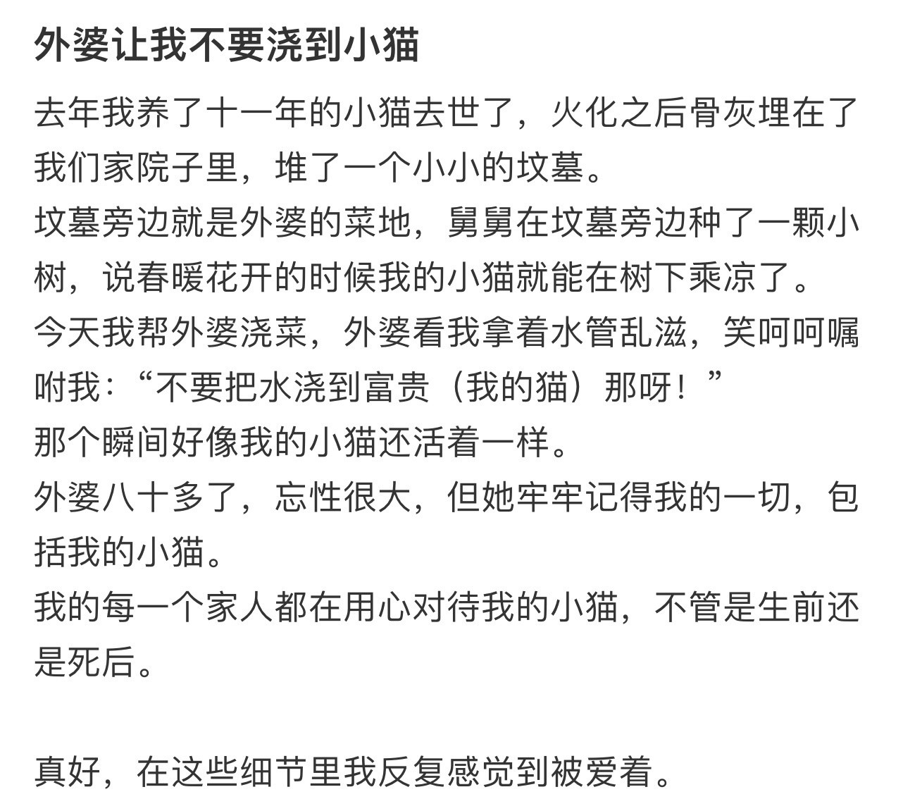 外婆让我不要浇到小猫！！！