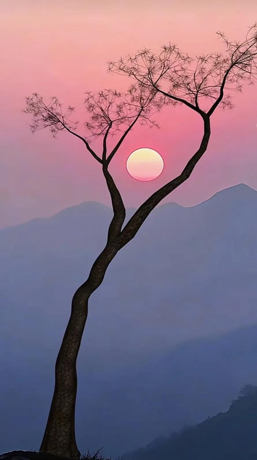 实话讲，太精明的人，往往没福气。人算的是利弊得失，天算的是因果轮回；