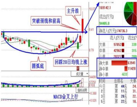 002081金螳螂, 本周人工智能新龙头