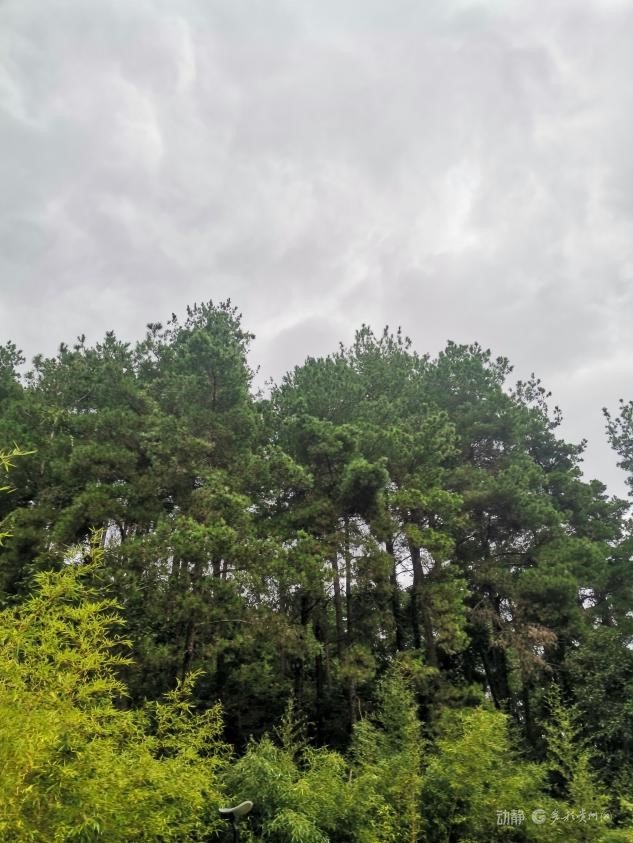 贵阳明后两天继续升温, 但冷空气已在路上