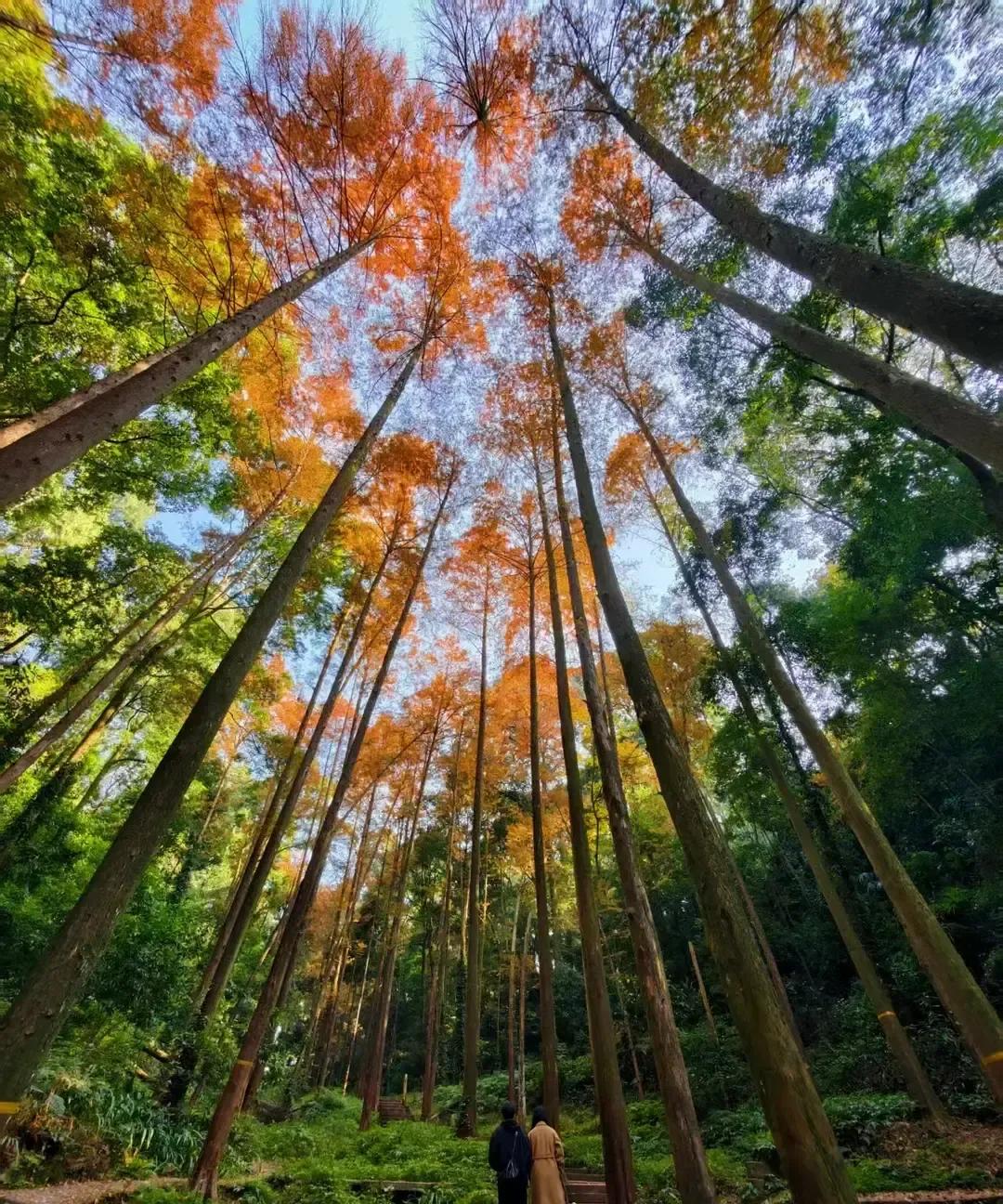 一个十年没动静的高中同学，突然半夜打电话，开口就要借十万。我脑子嗡的一声，差点