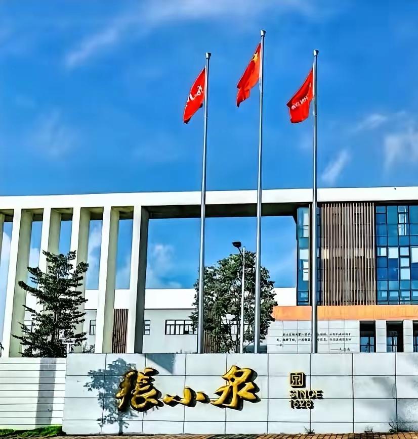 张小泉进入破产重整程序，老板那辆迈巴赫降价三次后才成功拍出，这把百年老字号作没的