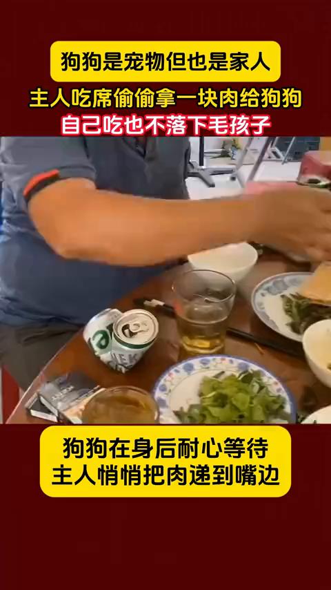 狗狗是宠物但也是家人。主人吃席偷偷拿一块肉给狗狗，自己吃也不落下毛孩子。狗狗在身