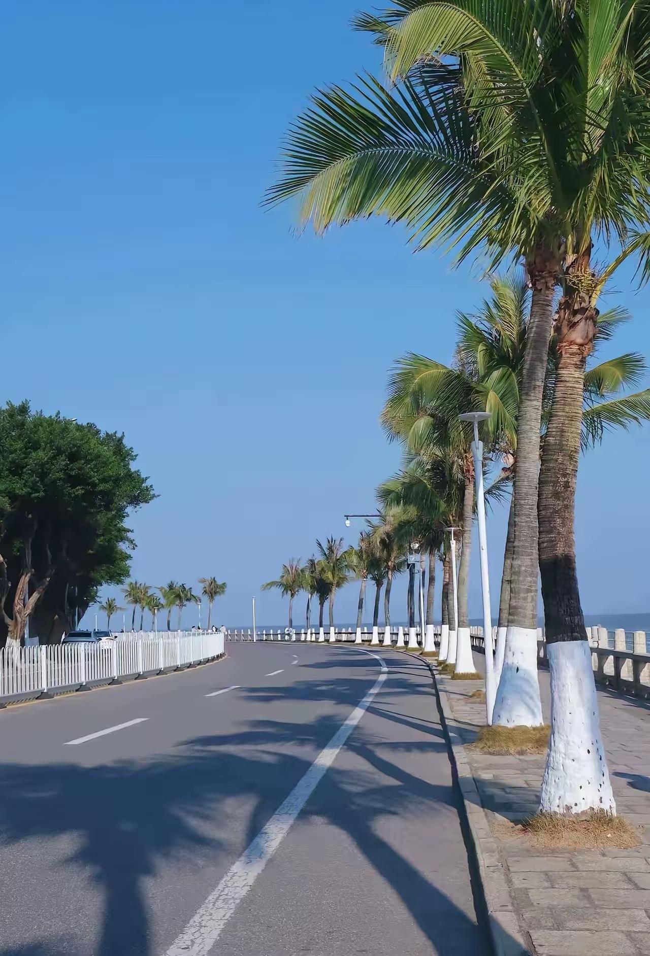 最有价值的一句话:“如果你有100万，去年年初买了铝，你就赚了47万，如果你买