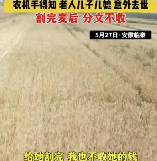 【八旬老人跪地割麦背后：三份死亡证明与三个书包的真相】烈日下的麦田像滚烫的铁