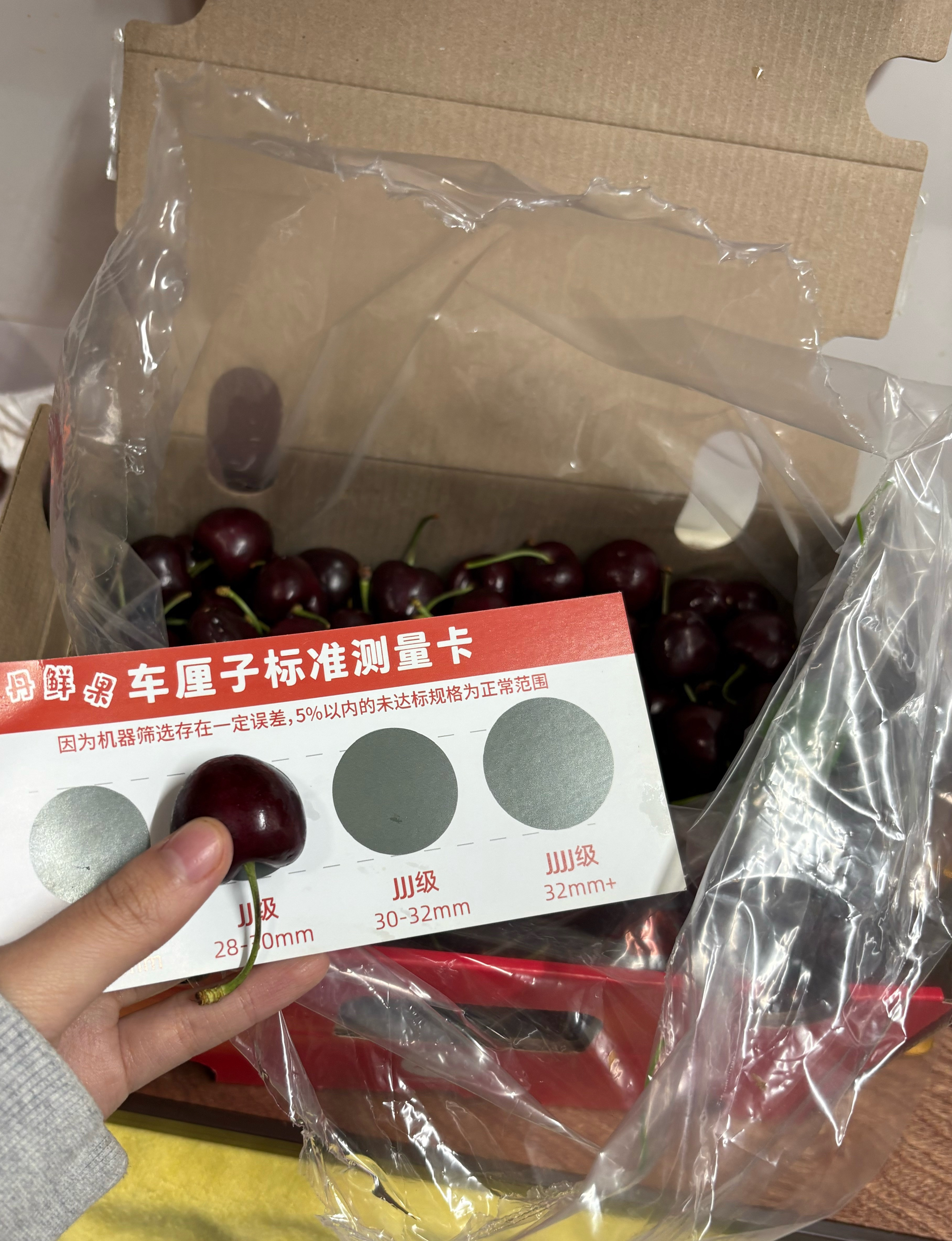 等不急海运了先来尝尝空运桑提娜