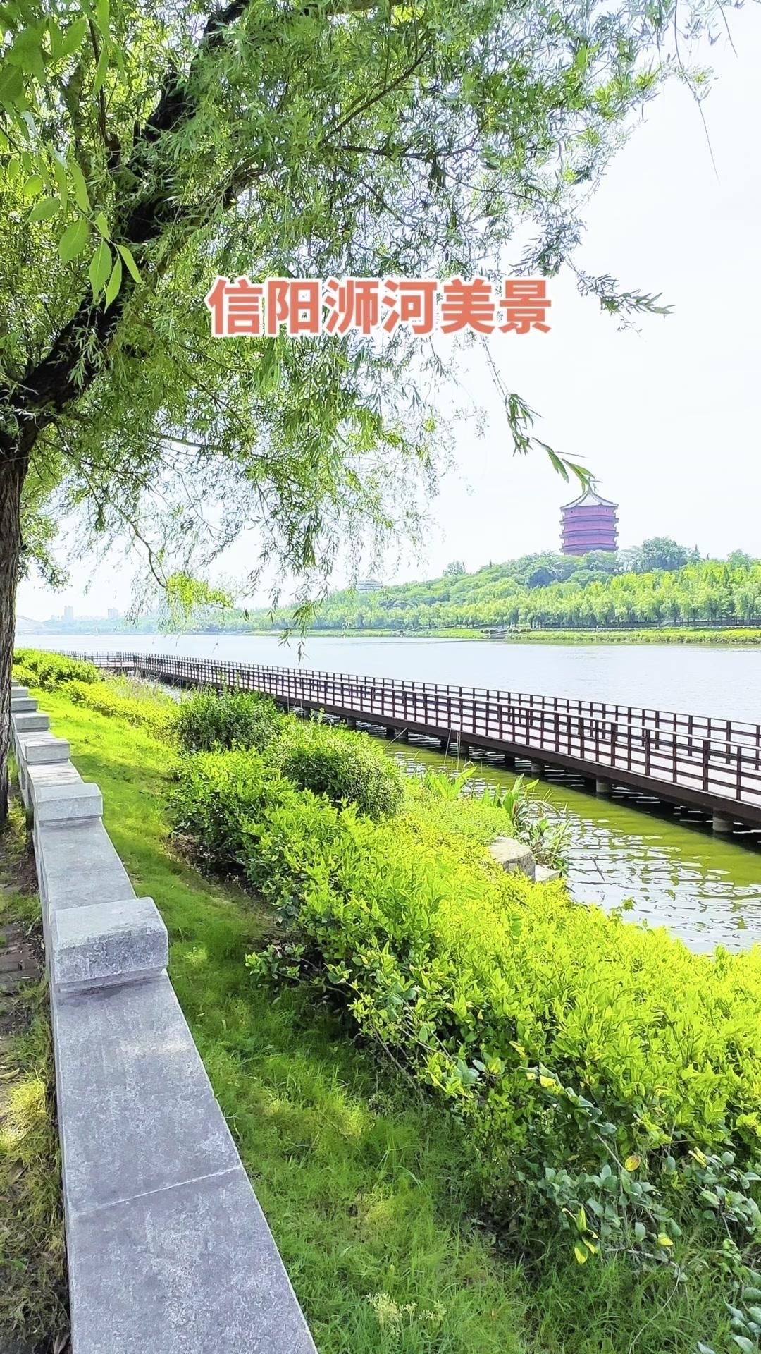 在信阳要是只逛景点就亏啦！沿着浉河步道走一趟，才算真正摸到这座城市的灵魂。河边的