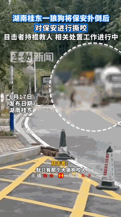 “必须严惩！”6月17日，湖南桂东，一位保安在巡逻时，突然被一条冲出的大狼狗撕咬