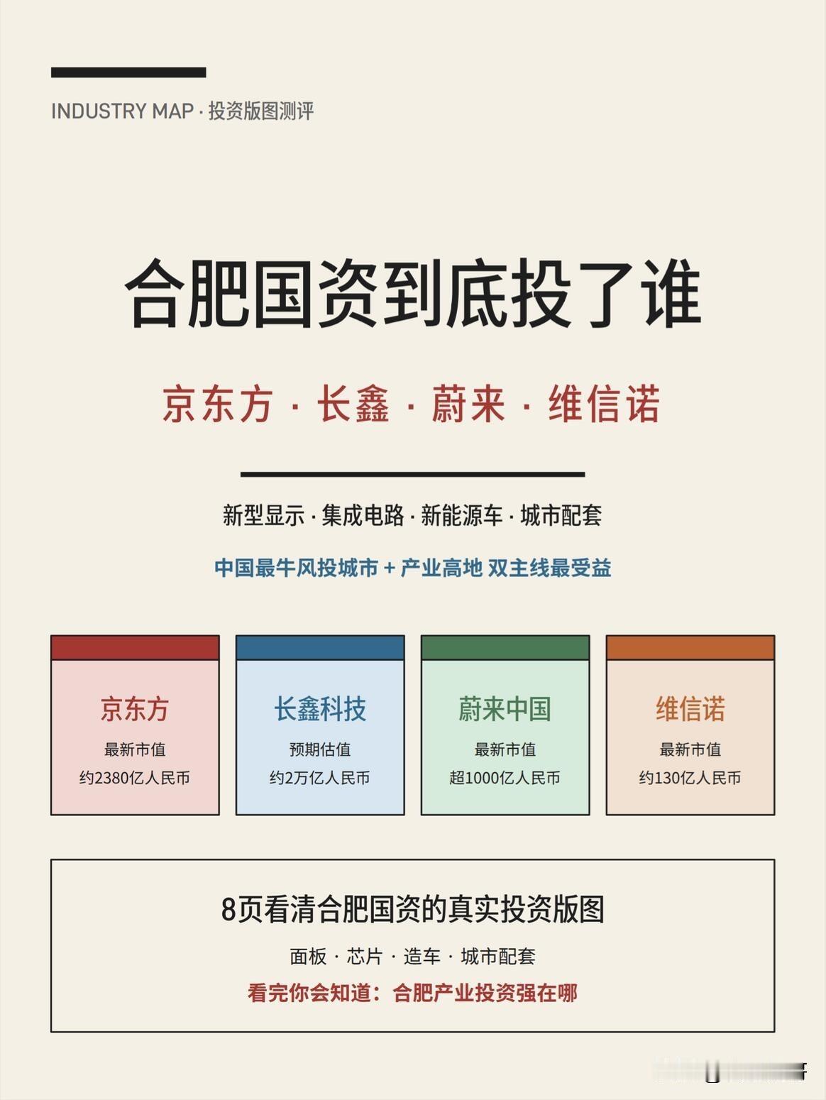 合肥国资到底投了谁？这些应该最具成功且具有代表作的～