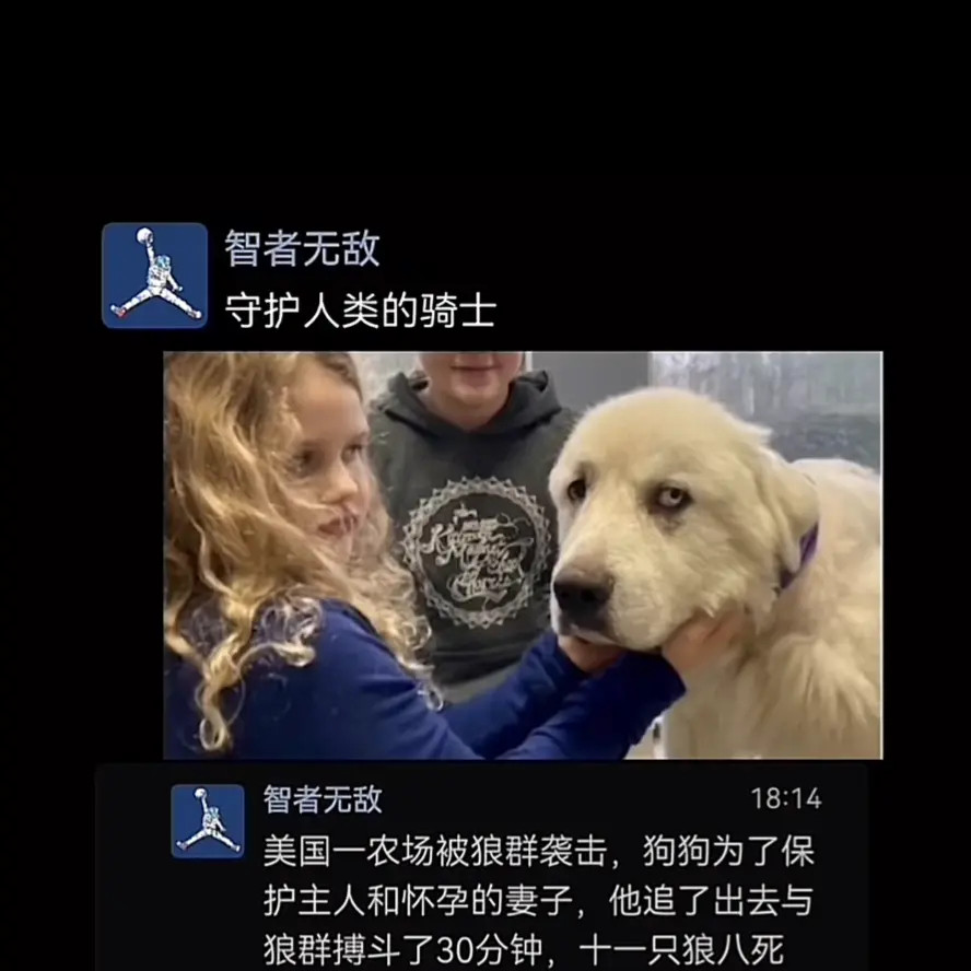 守护人类的骑士。美国一农场被狼群袭击，狗狗为了保护主人和怀孕的妻子，他追了出去与