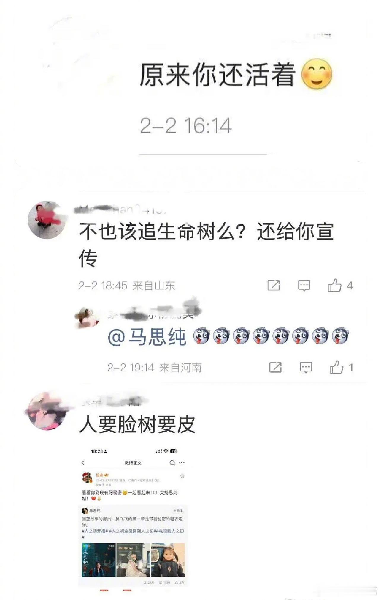 马思纯发微博说在追《太平年》，评论区问她为什么不追《生命树》