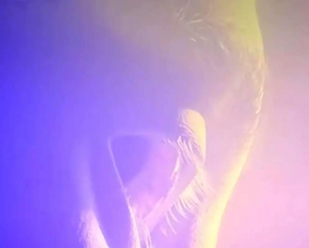 10亿微生物在银幕上开会看《阿凡达3》时，你会先盯哪只小虫？盯够3.2秒，