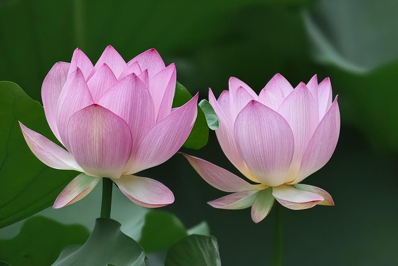 人多时，管住嘴。话多、错多、是非多，自找麻烦；人少时，管住心。妄念、妄想、痛苦多
