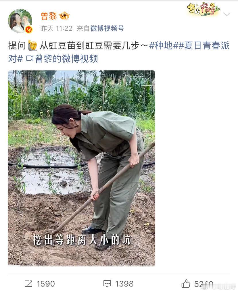 曾黎种菜收菜的过程好治愈曾黎的小菜园宛如童话中的魔法花园，种子破土而出，嫩叶舒