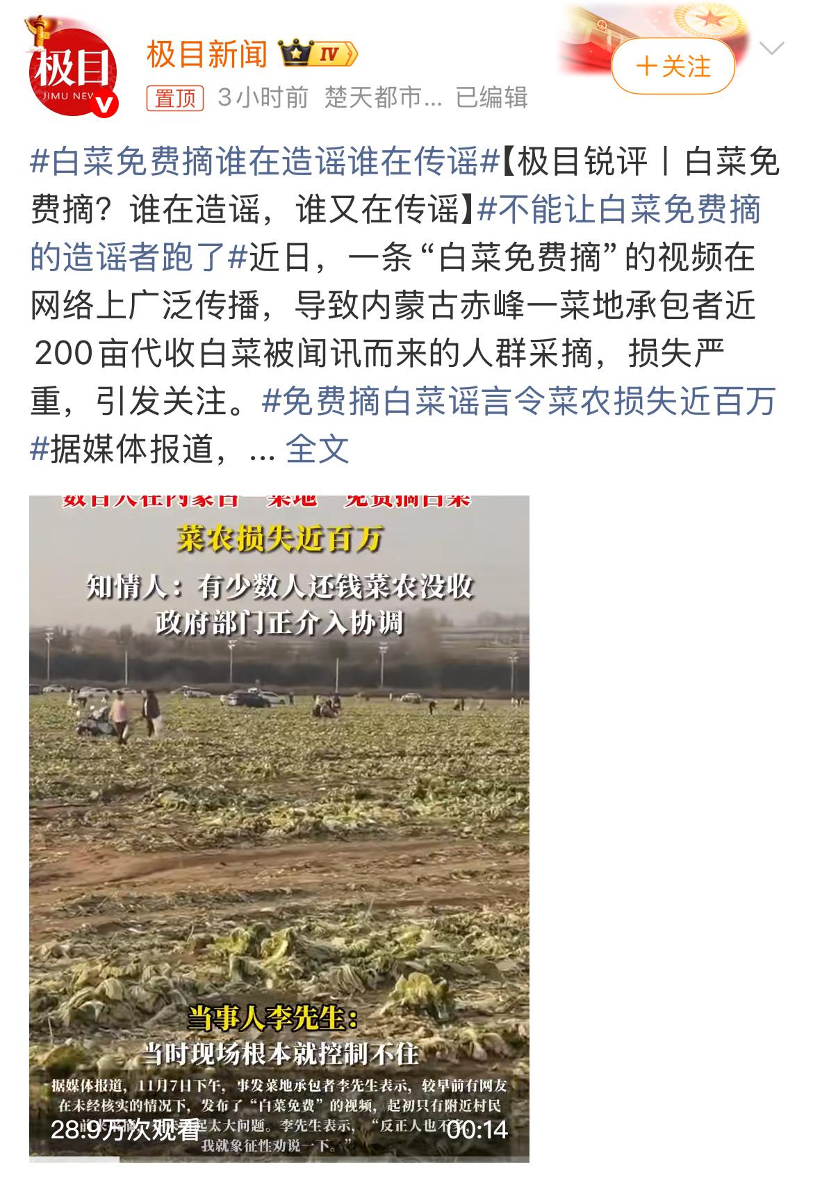 看到赤峰白菜被哄抢的新闻，心里真不是滋味。就因为网上有人说“白菜免费”，几百号人