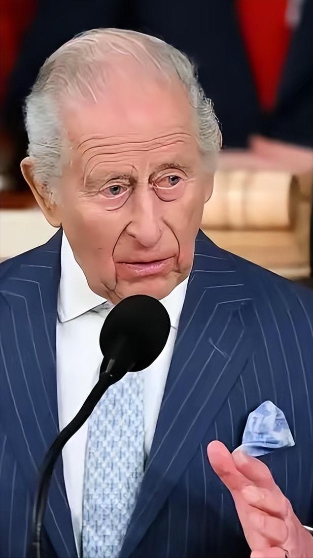 2026.5.1日老王子查尔斯在美国的情况1、过程就不讲了，我们就看看评论。彭