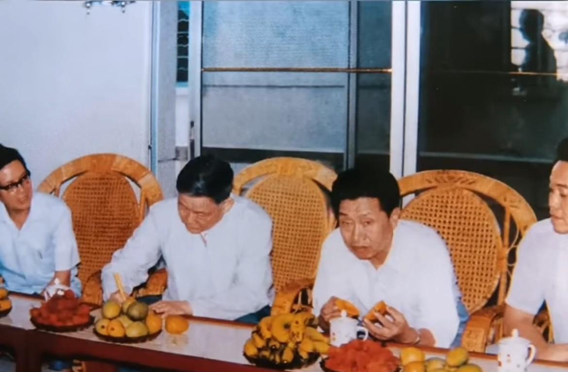 1987年5月30日，时任广东省省长叶选平在茂名市委书记肖启贵、市长黄
