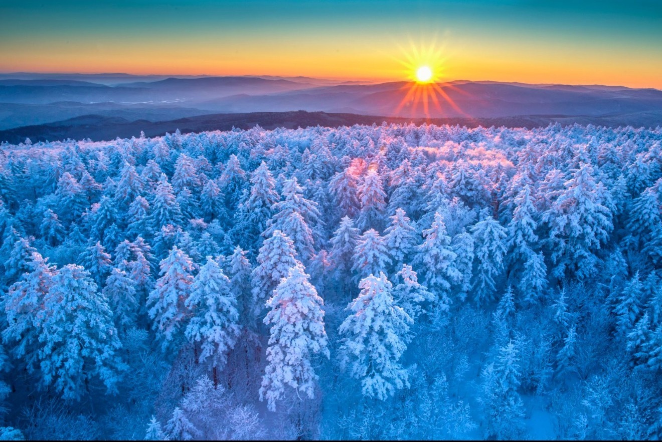 林都伊春冰封秘境【闯入冬日以北的纯白梦境】伊春的雪，下成了另一重山海。枝头挂满