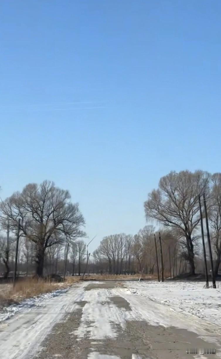 太可怜了这俩孩子1月24日下午1点多，甘肃天水一户农家的两个孩子哥哥7岁，弟弟