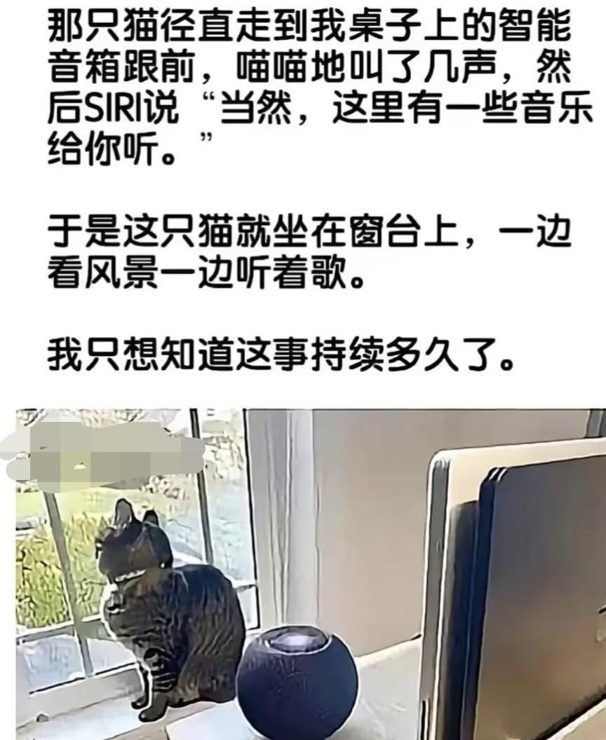 今日份图梗分享梗图此图有梗莫名其妙击中笑点搞笑图文mbti梗图我这狗