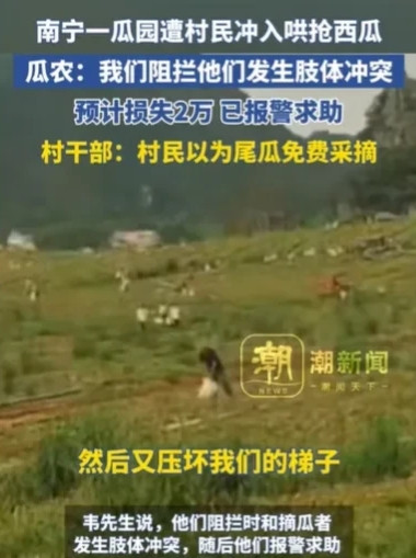 广西南宁，男子承包了280亩地种西瓜，地上西瓜，硕果累累，又大又圆，男子摘了一批