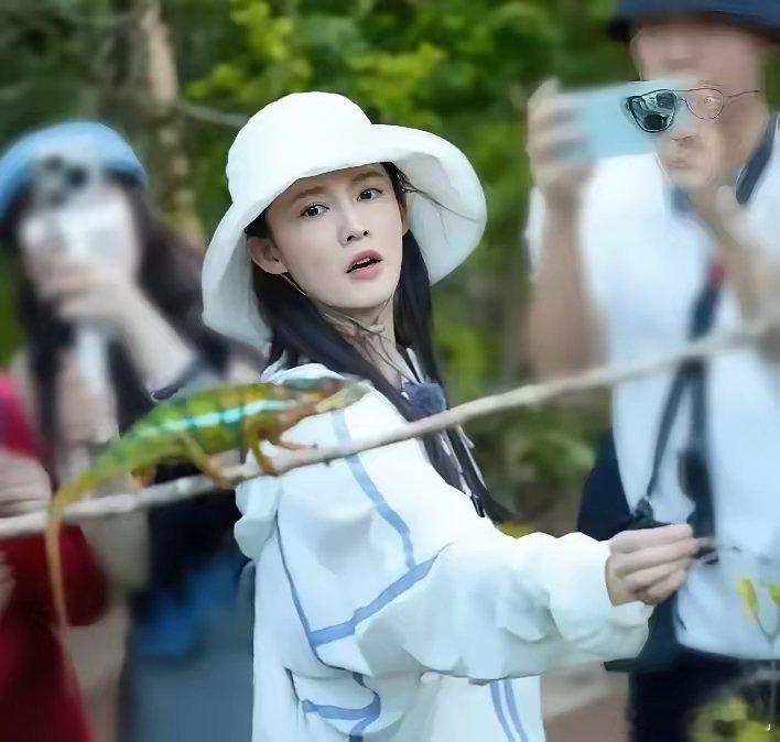 李沁第一次主动摇人帮自己的新剧宣传肖战和王一博的反应让网友们有话想对王一博讲，希