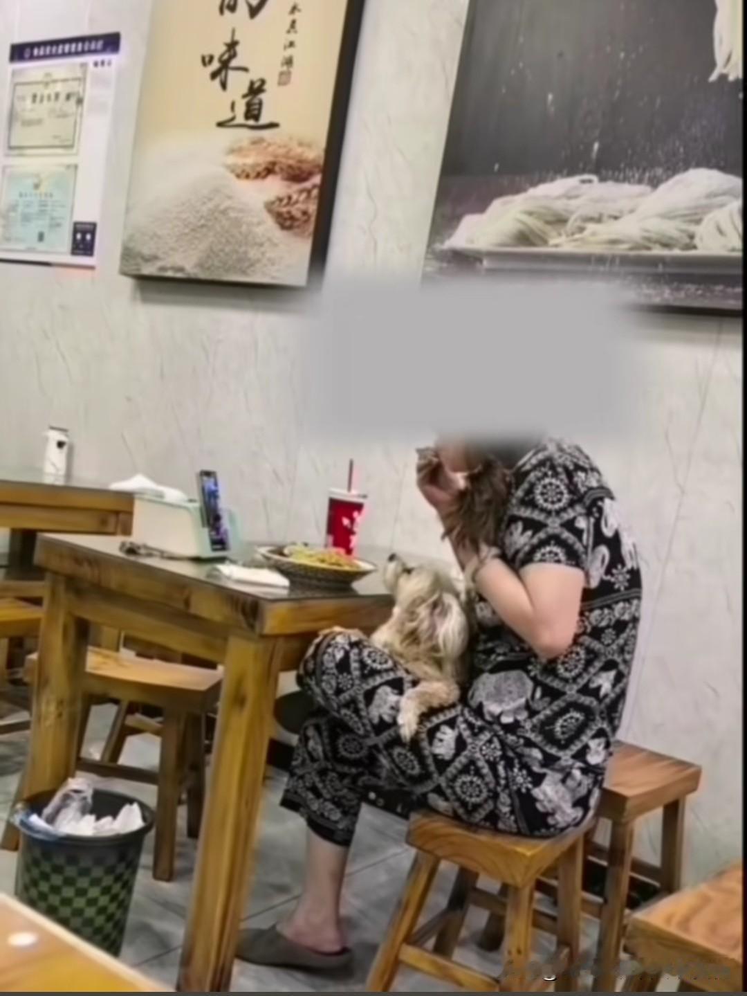 山东德州的朋友知道这是哪家面馆吗？有网友拍到了狗主人带着她家的毛孩子进店吃面了，