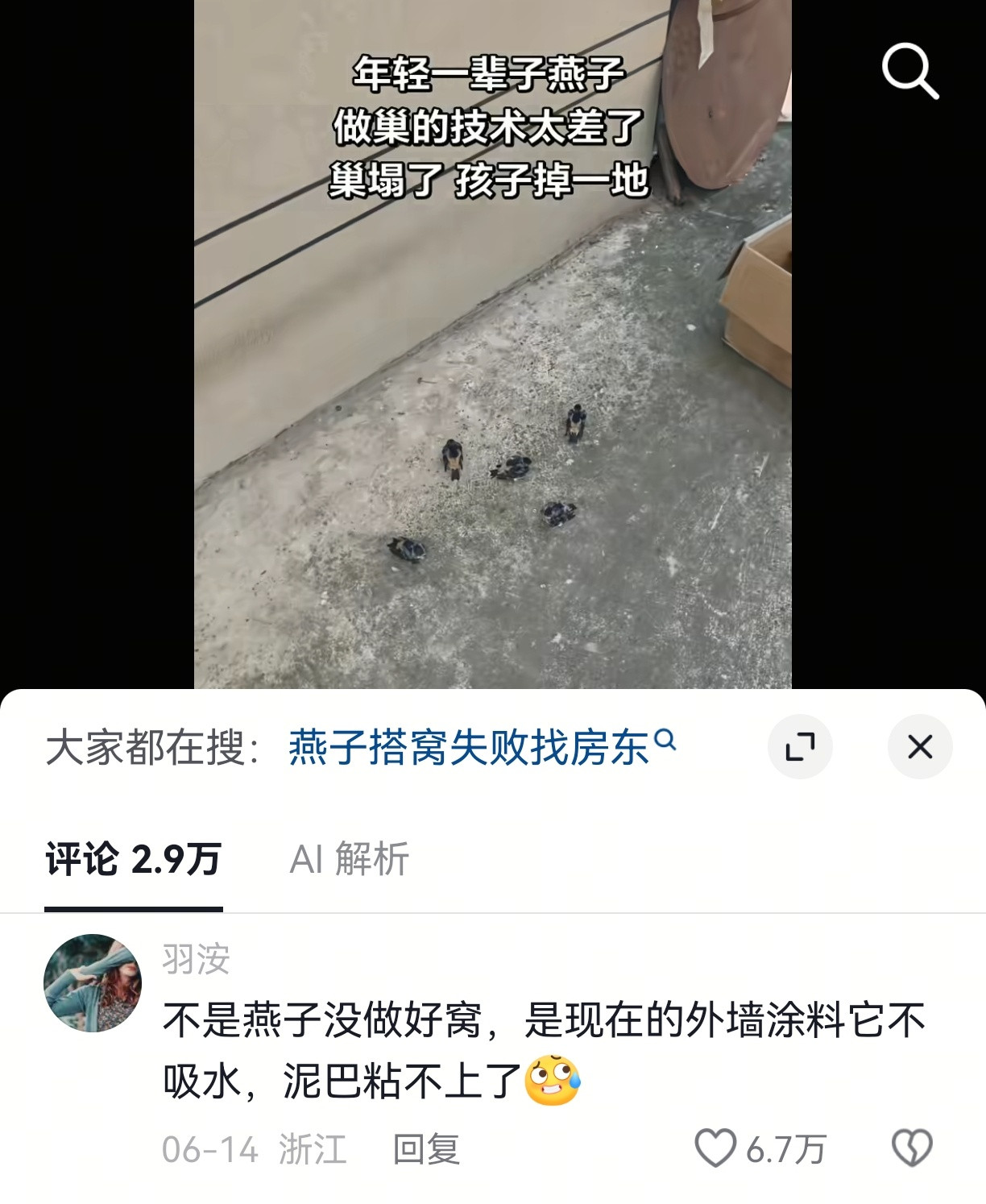 燕子不知道是墙的问题，只会一味地想是我太差了吗？