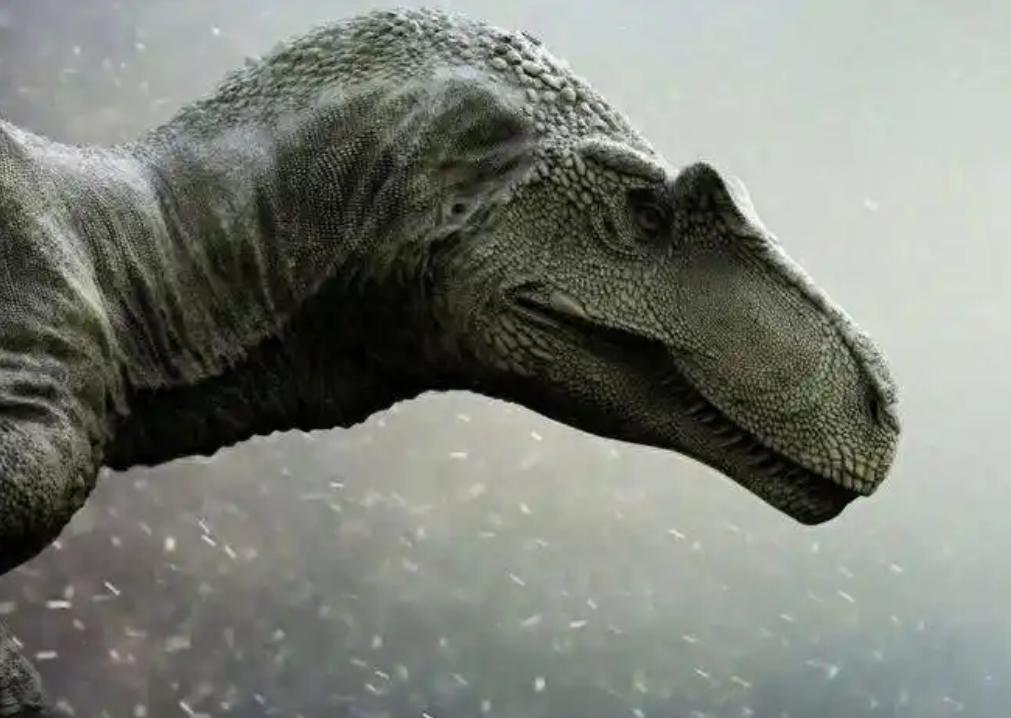 恐龙竟然没有灭绝？中科院院士徐星：“通过大量化石研究，我们可以斩钉截铁的说，恐龙