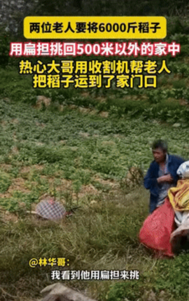“世上还是好人多！”江西宜春，一对留守老人挑着扁担，要将6000斤的稻子运到50