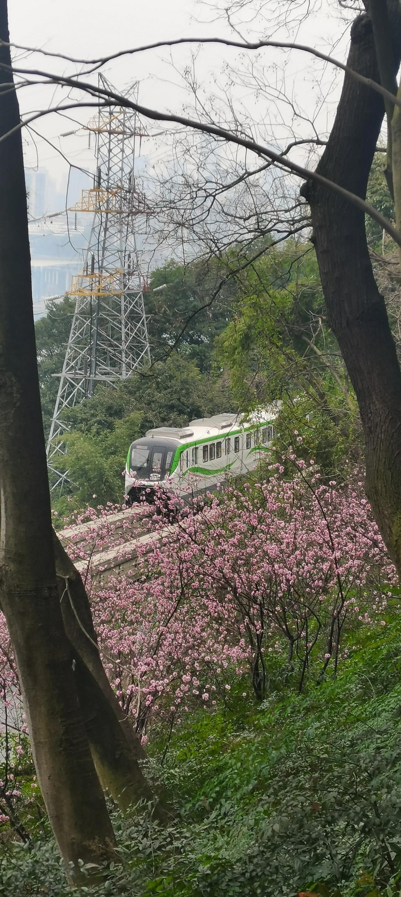 为什么重庆能名列春节游客接待量第一名有人质疑春节重庆的游客接待量，为什么重庆会