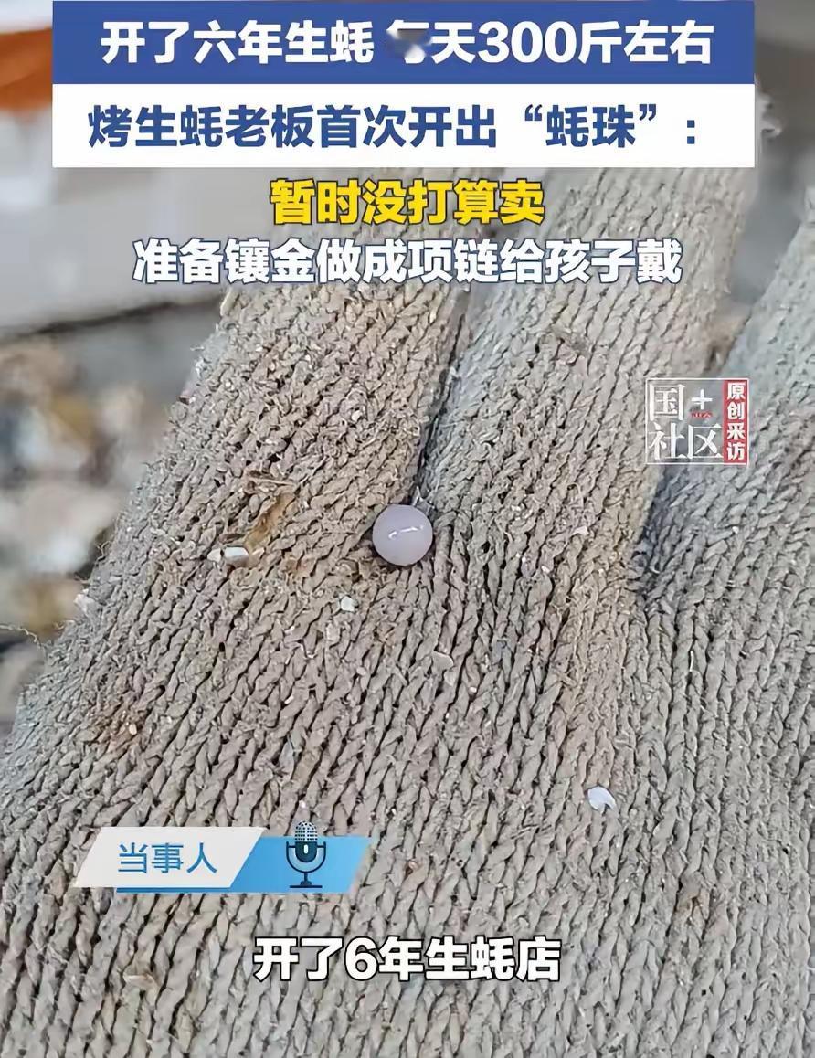 广东一位做了6年生蚝生意的老板，每天都会处理300斤生蚝，最近意外开出了一颗天然