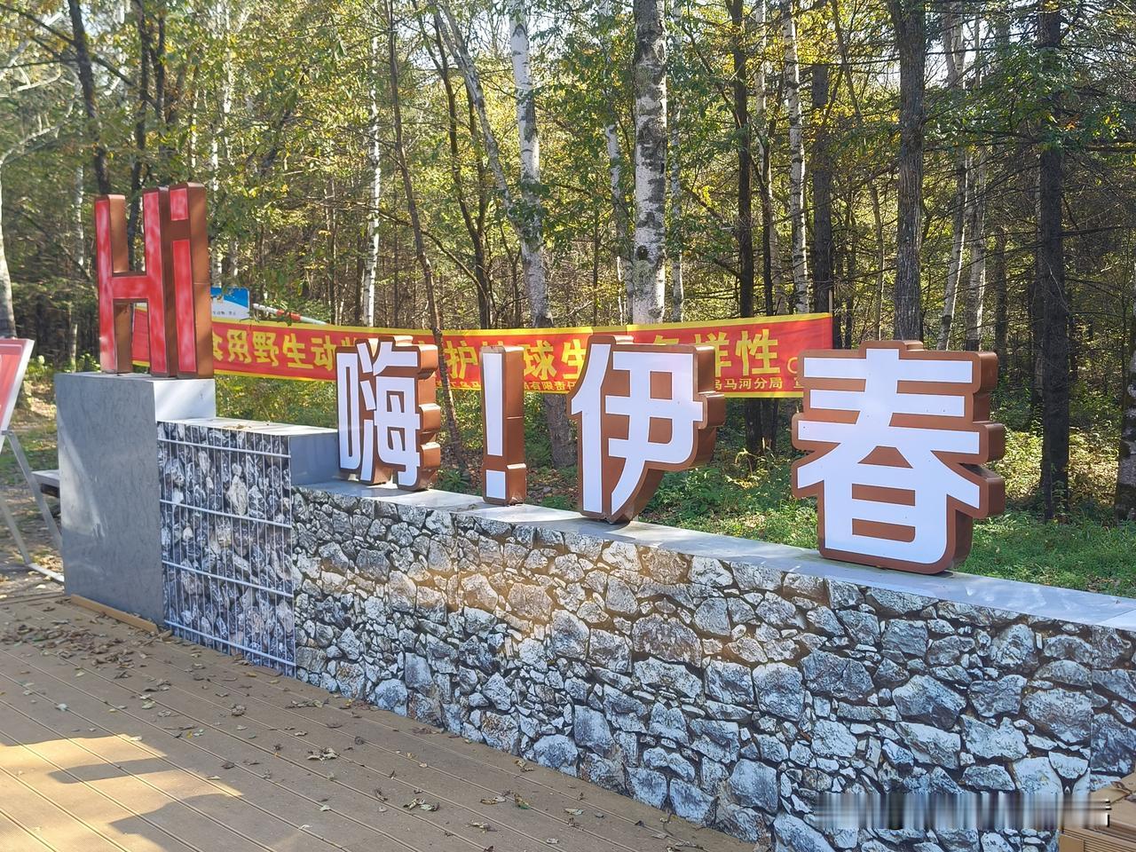 终于，19号回到沈阳。车子停稳，行李都顾不上拿，快步跑进妈妈的房间。屋里两位