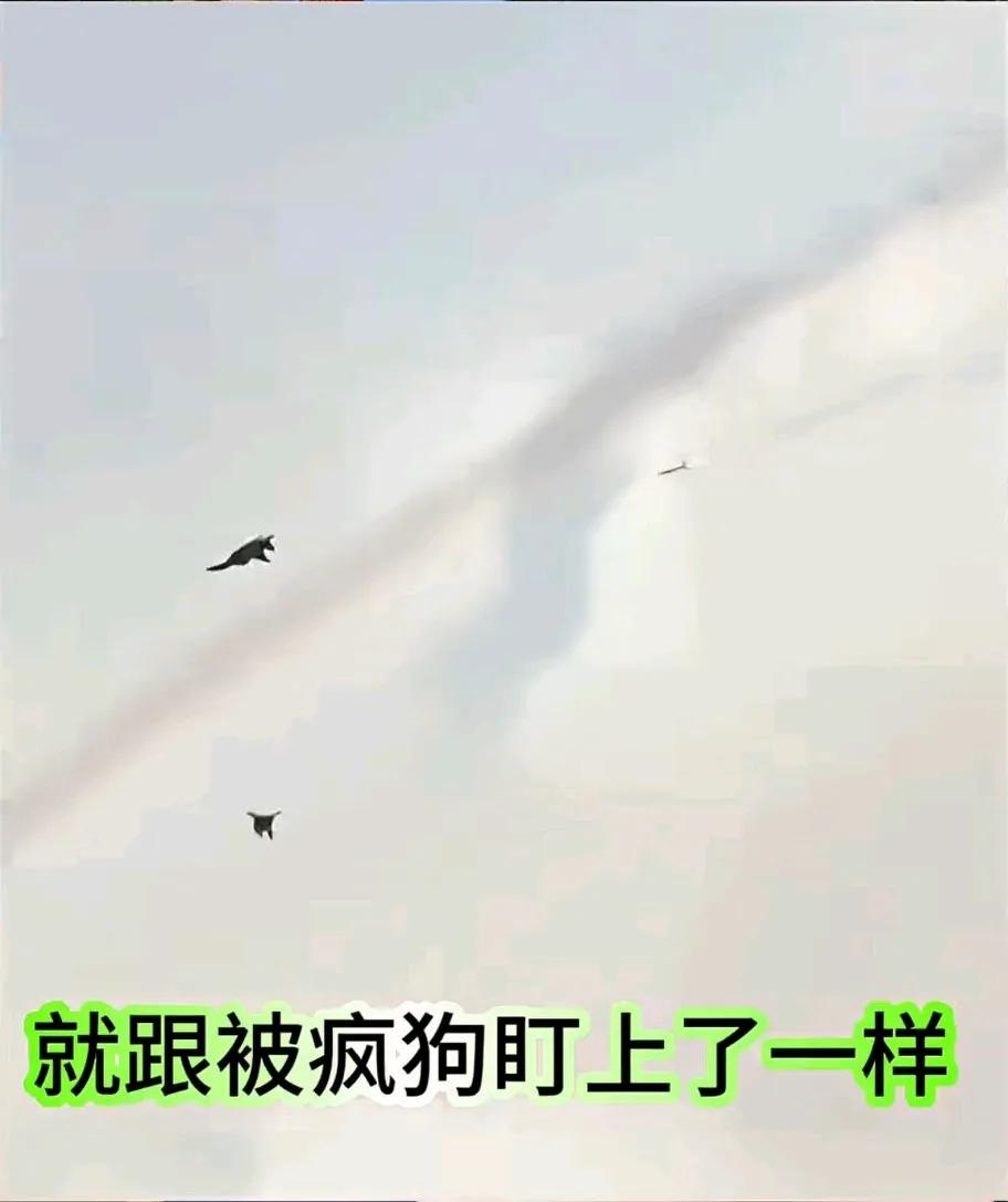 土耳其现在是不是后悔了？想当年土耳其跟咱签订了购买红旗9的合同，在美国的压力下放