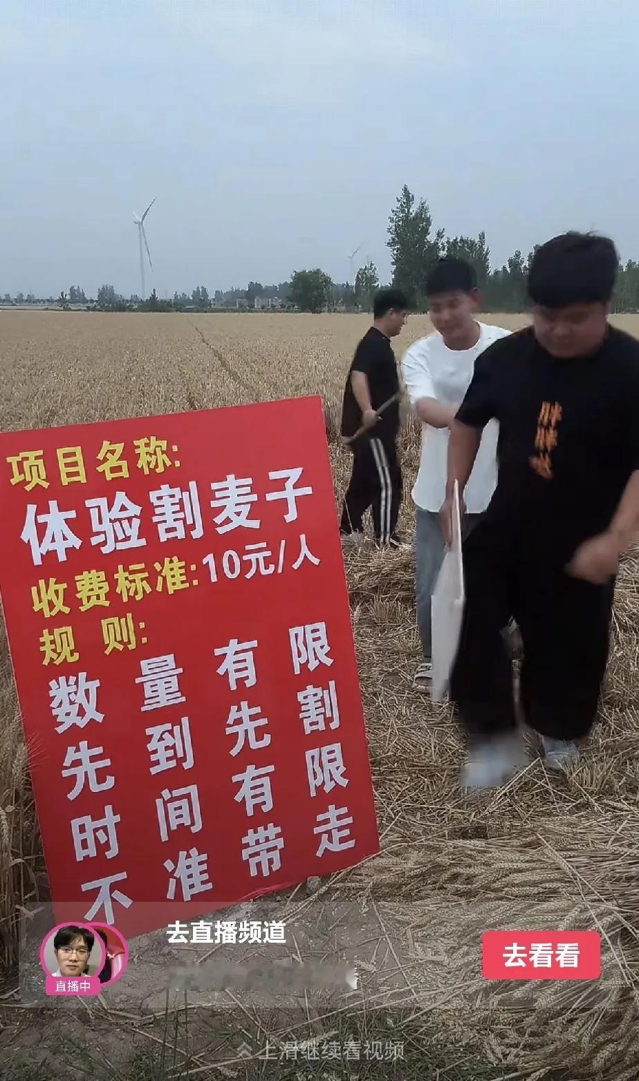 现在为了赚钱，真的是什么人都想得出来，直播发财路子呀。你看就这个直播收割麦子