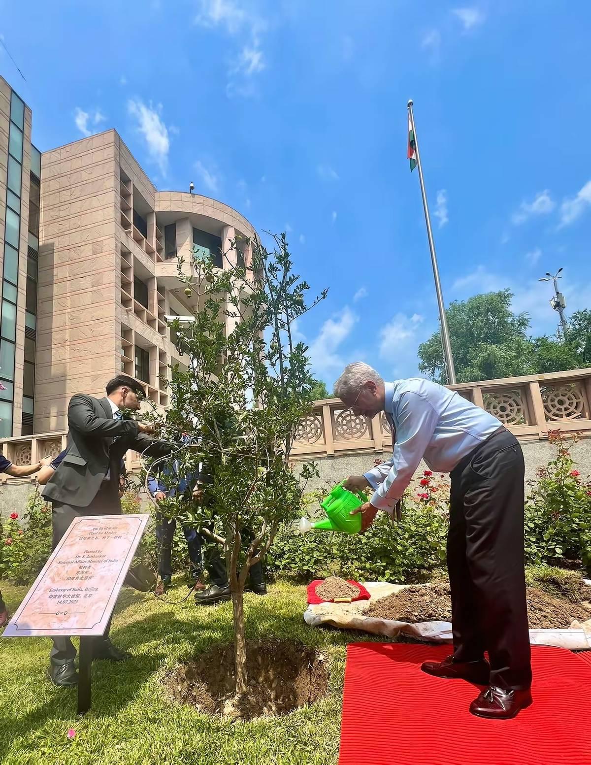 苏杰生去印度驻华使馆种树，草地上铺红毯，一群人在旁边伺候着7月14日，印度外