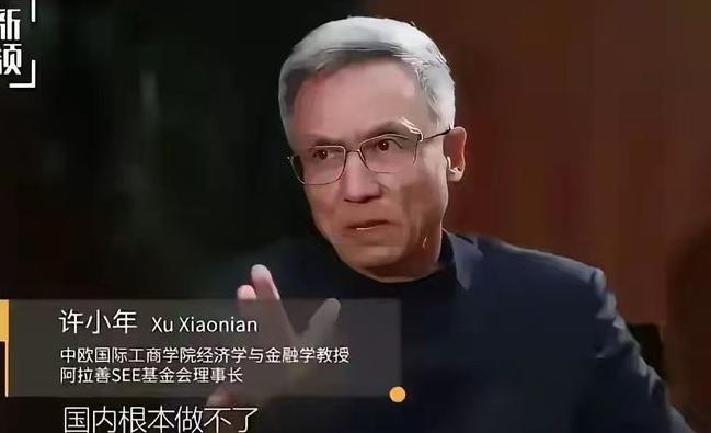 2017年，经济学者许小年曾在大庭广众下甩出一句吓坏很多人的话：“咱中国压根造不