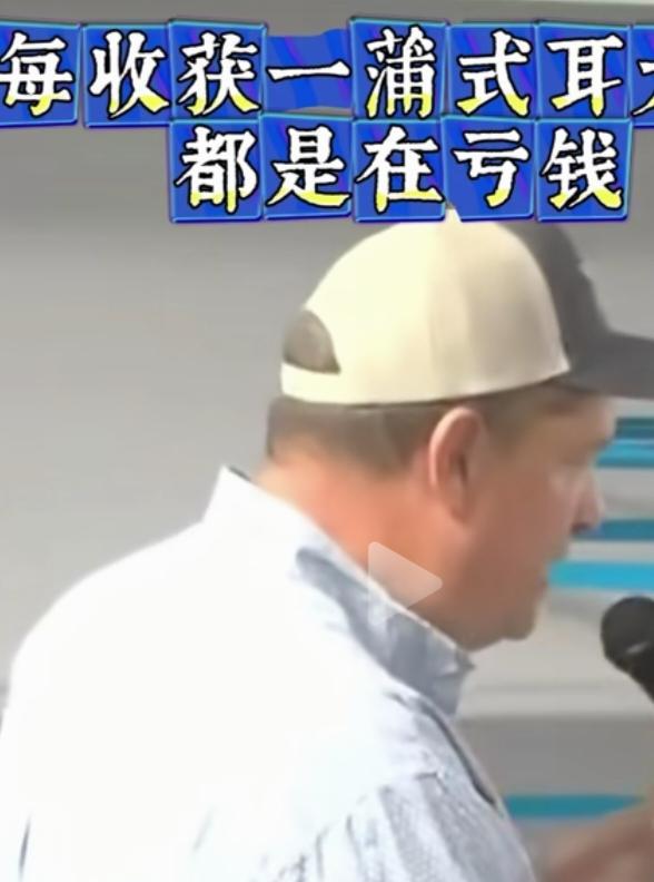 大豆收了一车，赔了一地。美国今年大豆产量冲上历史第六，可仓库堆不下，地里露天放