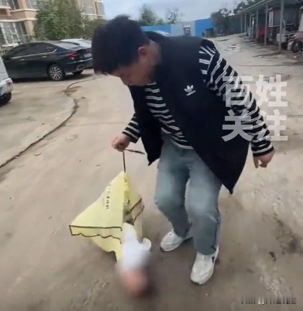 有这么一对奇葩父母，爸爸给刚出生不久的宝宝放进购物袋，乐呵乐呵的拎起来走路；妈妈